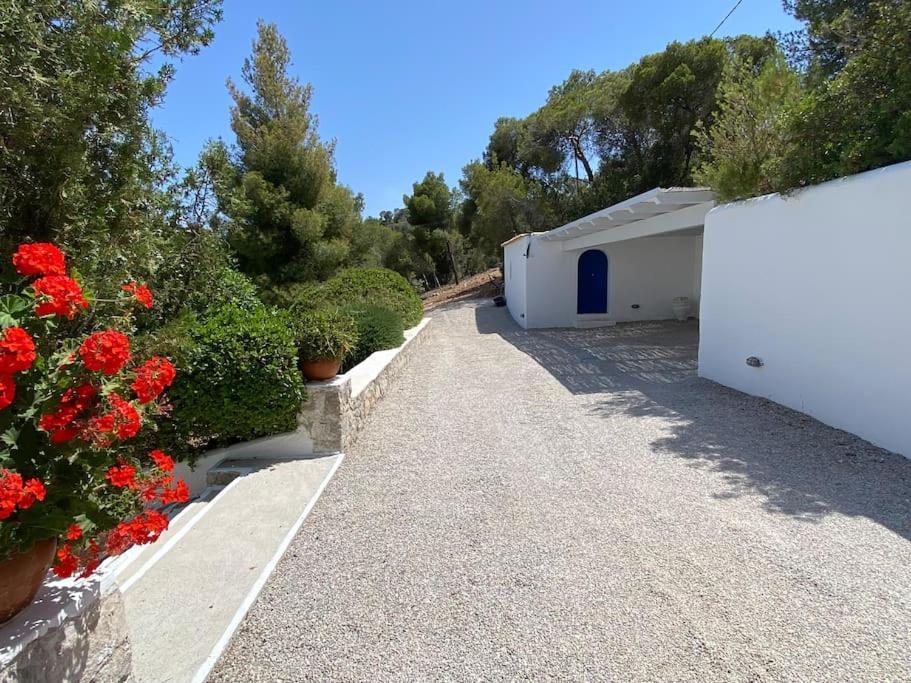 Retreat Villa By The Sea With Pool In Porto Heli Exterior foto